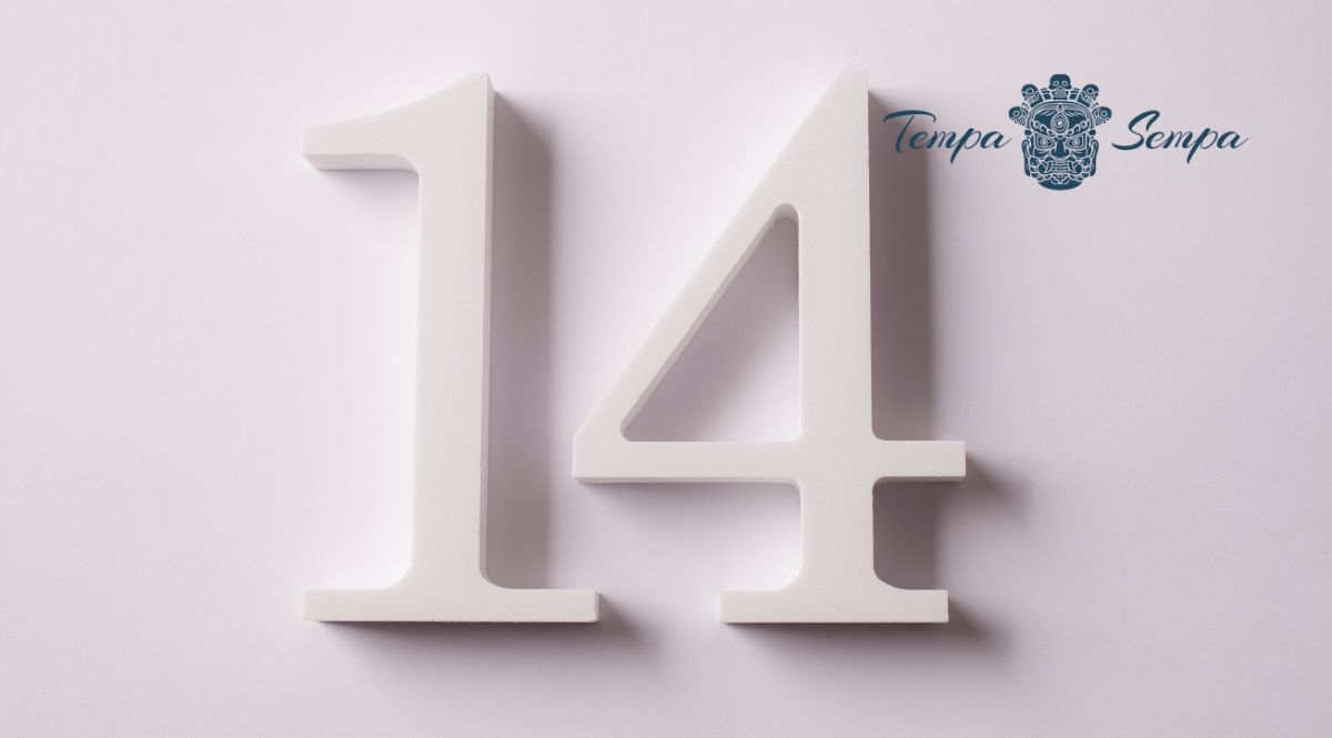 tempa sempa ofrece 14 días gratis de yoga y meditación