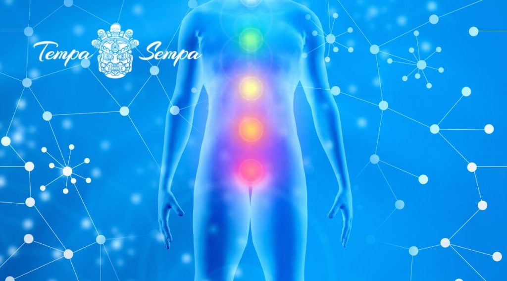 en el cuerpo humano existen diversos centros energéticos que podemos desarrollar