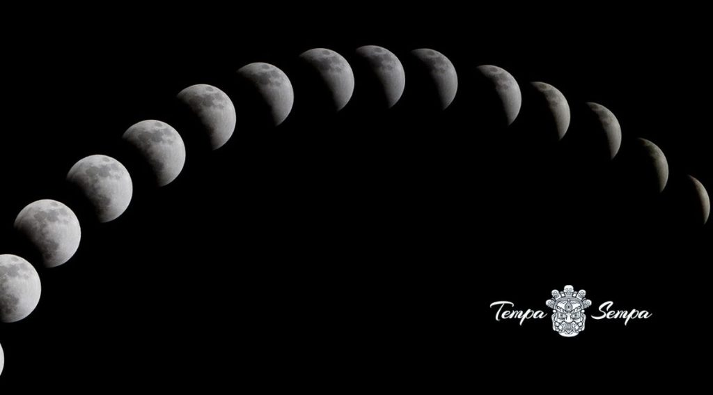 los ciclos vitales conectados con la luna