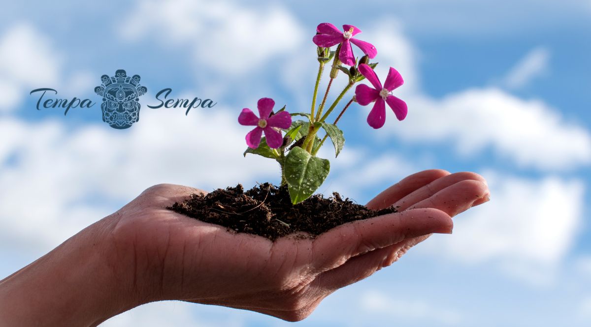 Florecer antes de que llegue lña primavera es una expresión hermosa para denominar el desarrollo personal