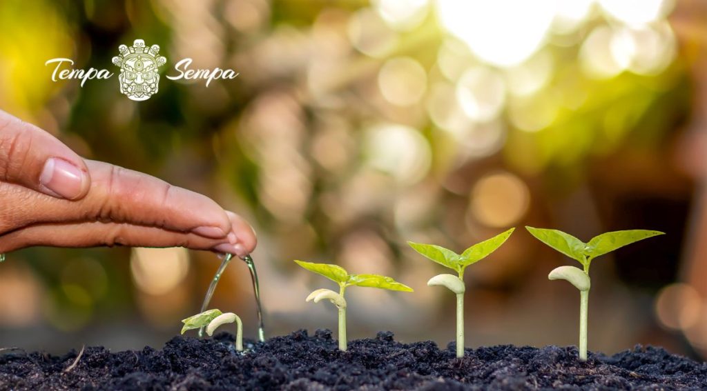 desarrollo personal y reflexiones en tempa sempa