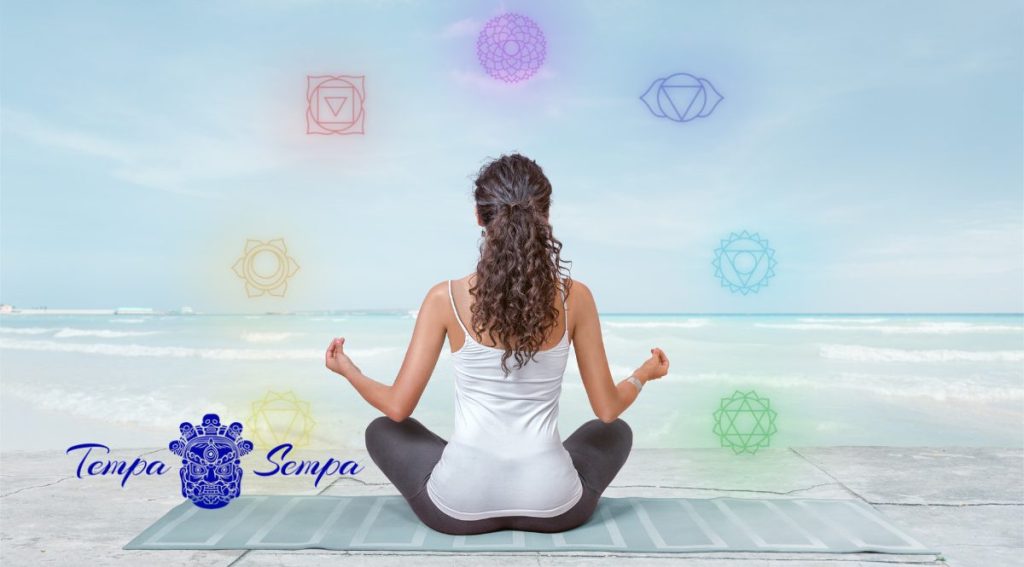 los chakras forman parte de nuestro ser y habitan en nuestros centros nerviosos