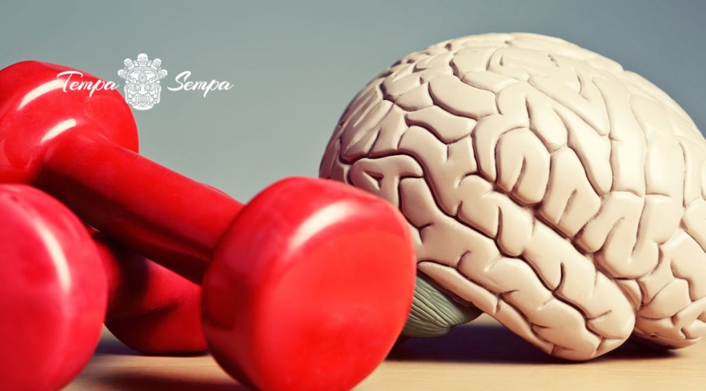 entrenar el cuerpo es bueno para el cerebro