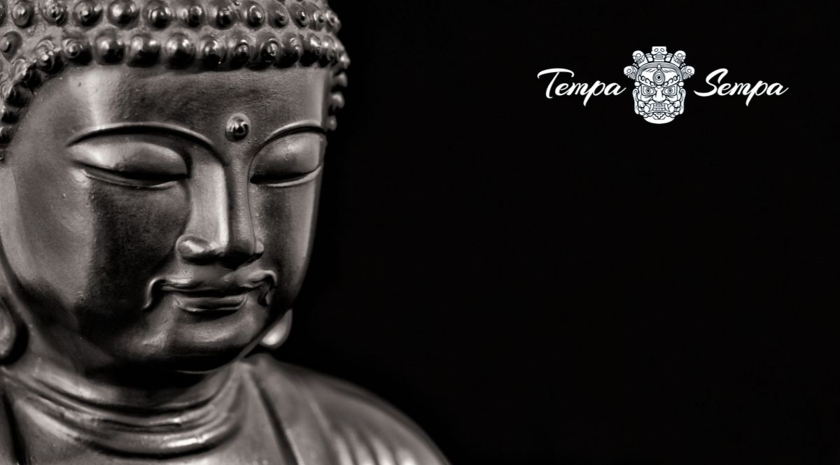 aprendiendo a meditar con la formación personalizada de tempa sempa