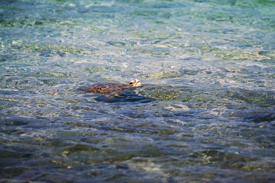 Photo Mindful breathing