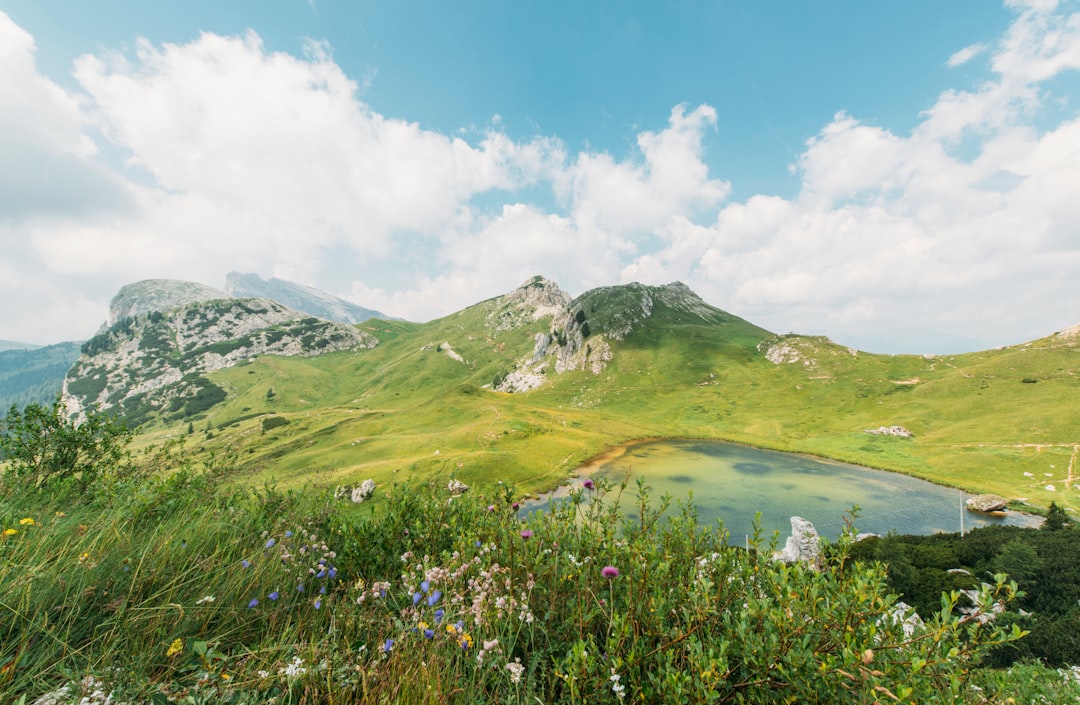 Photo nature panoramas