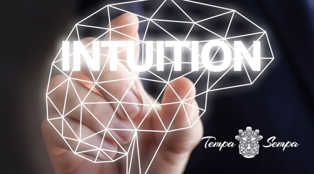 La intuición en el emprendimiento es primordial tanto o más como el conocimiento técnico de los procedimientos