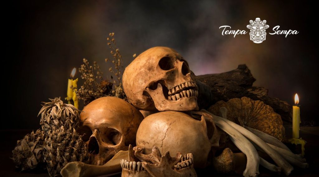 La muerte y el sentido profundo de la vida