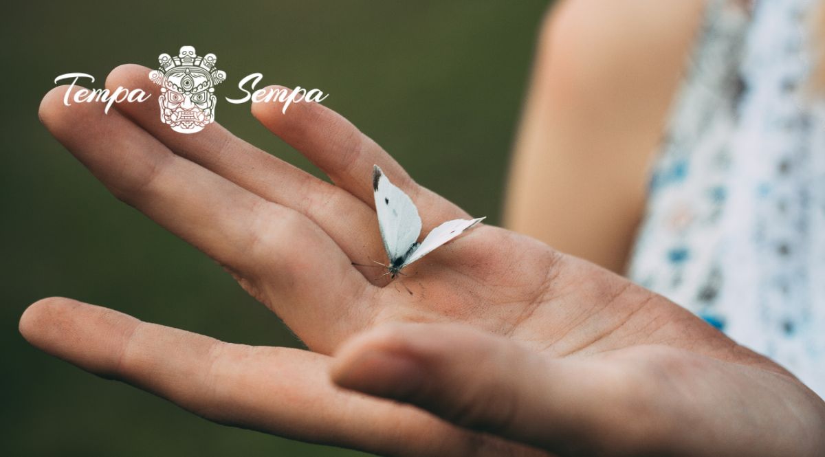 una mano con una mariposa representando la capacidad de sentir lo sutil