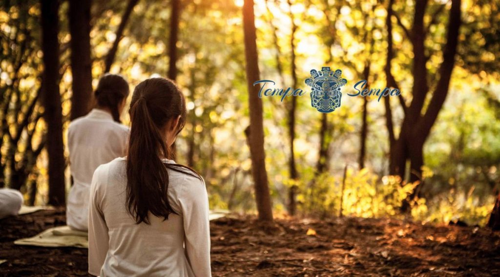 el acompañamiento es fundamental para saber profundizar en la meditación