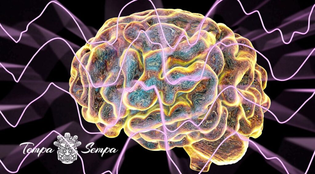 han medido la ondas cerebrales cuando un prácticante de meditación entra en estados más sutiles de energía