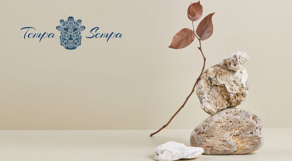 piedra y rama en equilibrio