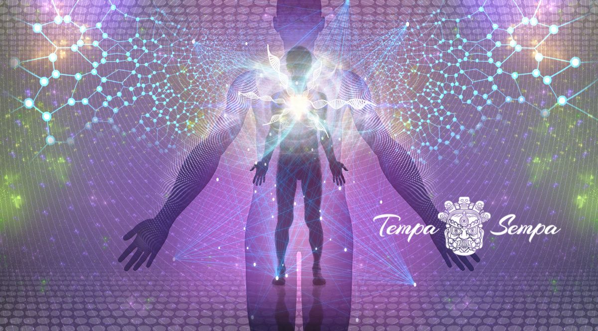 el cuerpo humano transmite energía y la recibe por cada poro de la piel