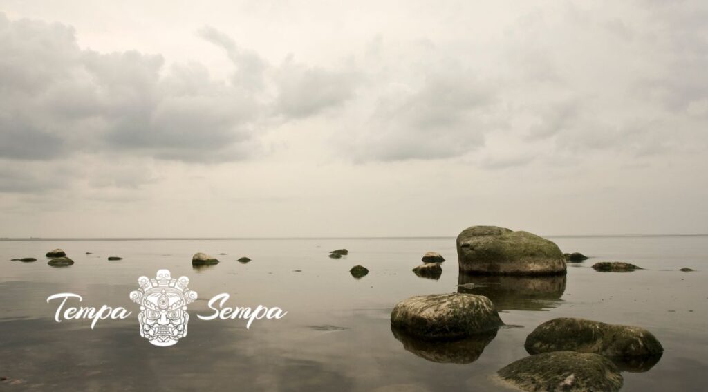 la quietud mental es la puerta de el estado de calma