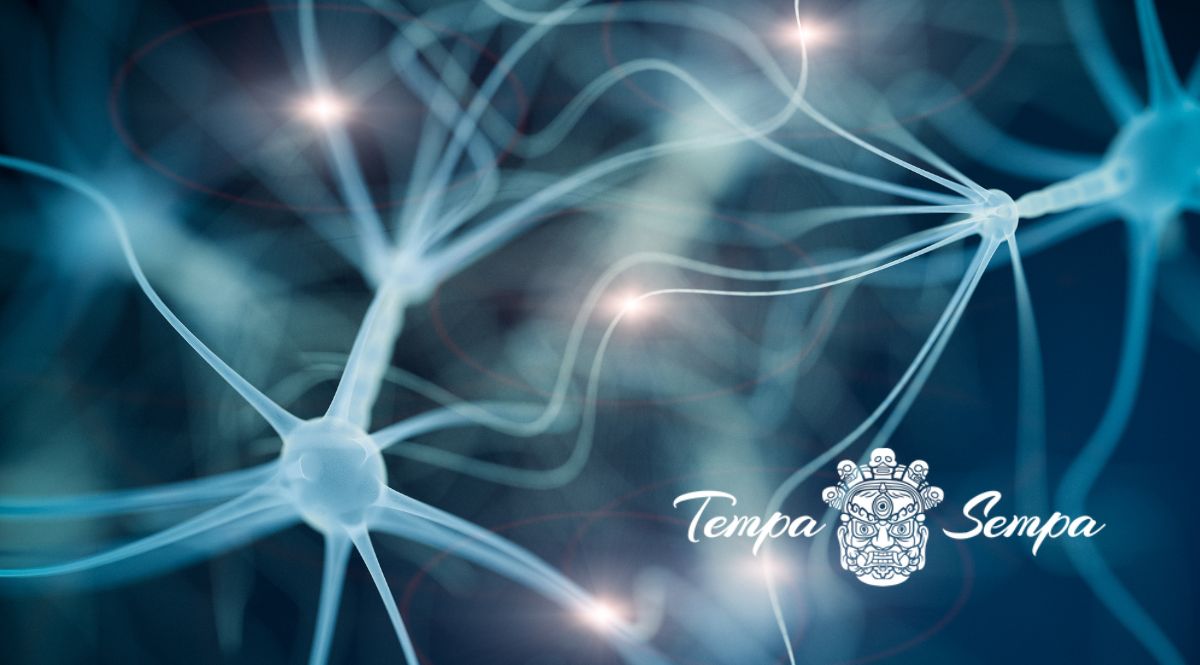 la regeneracion celular gracias a la armonización del cuerpo junto con la mente