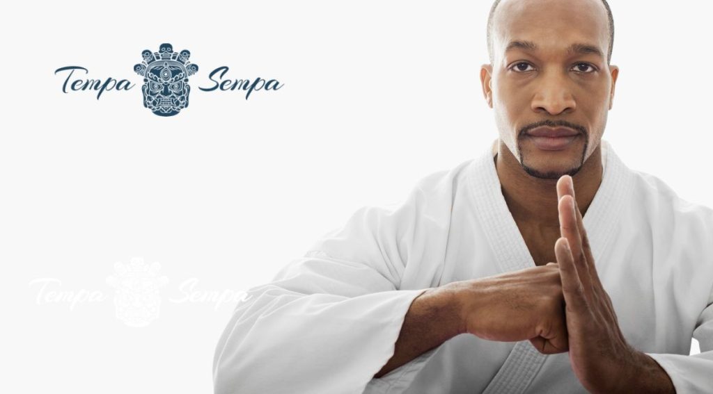 saludo marcial para mostrar respeto