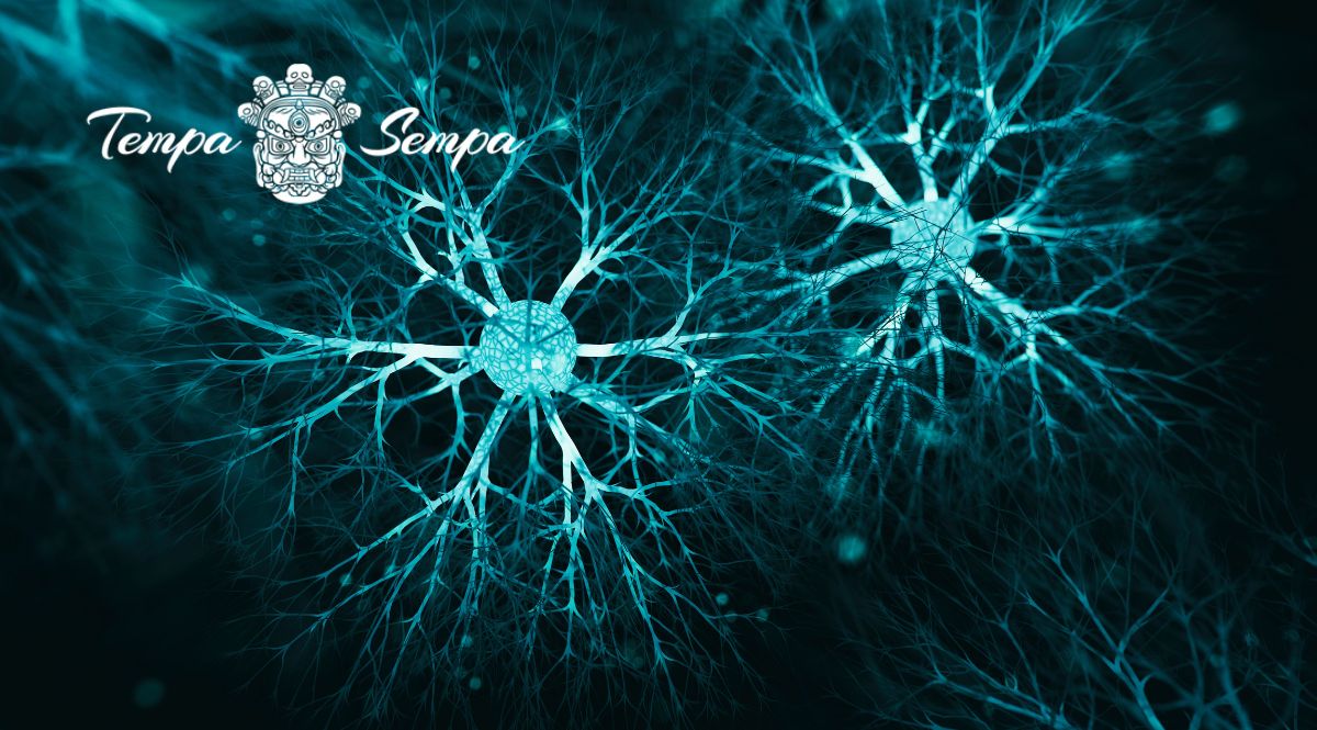 la energía interna fluye a través del sistema nervioso