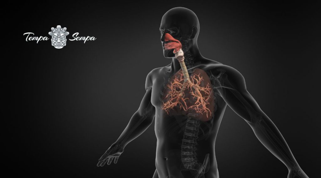 manejar el flujo respiratorio nos aporta salud