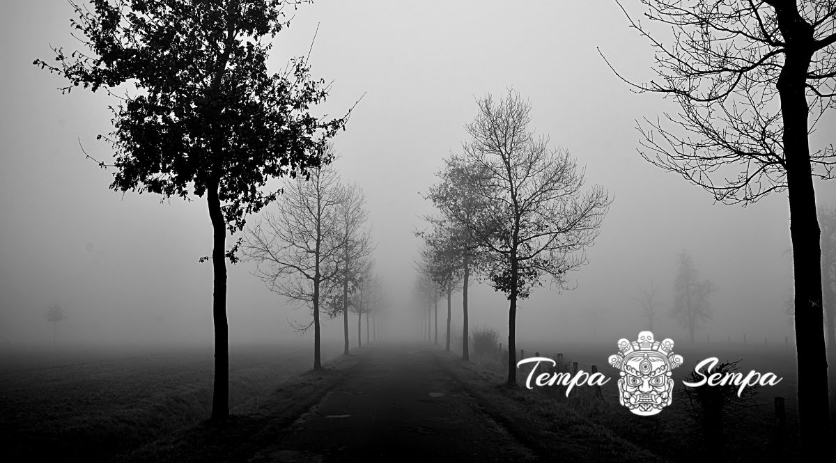 cuando las cosas se ven confusas debido a la niebla