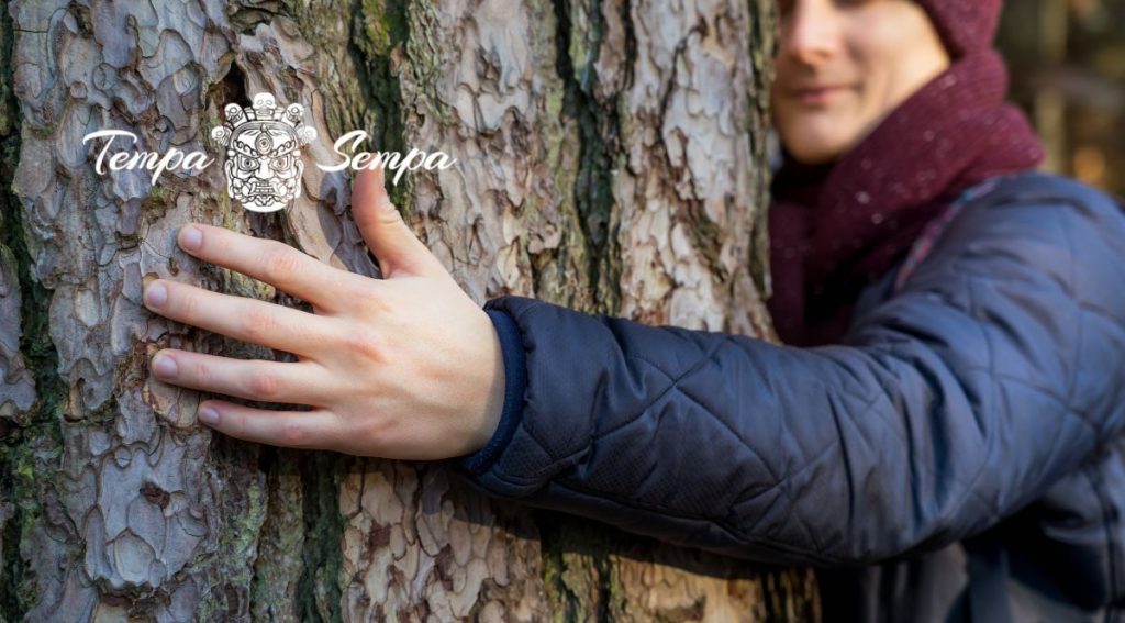 abrazar un arbol nos ayuda a reconectar con lo esencial