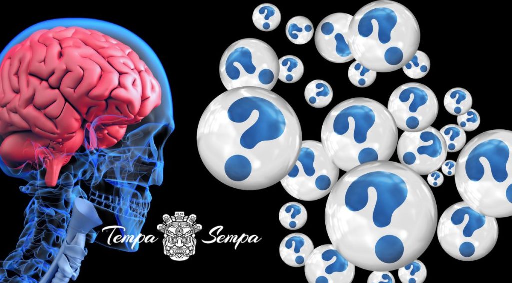 Cuantas más preguntas le hagas a tu cerebro más se desarrolla
